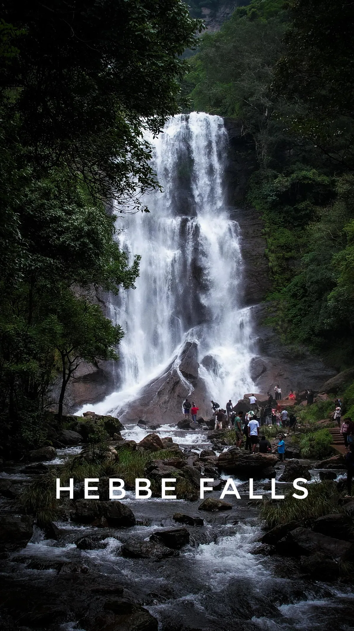 Chikmagalur: Where Karnataka’s Hills Brew Stories of Coffee Clouds & Calm