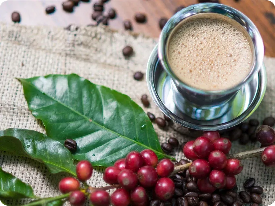 Chikmagalur: Where Karnataka’s Hills Brew Stories of Coffee Clouds & Calm