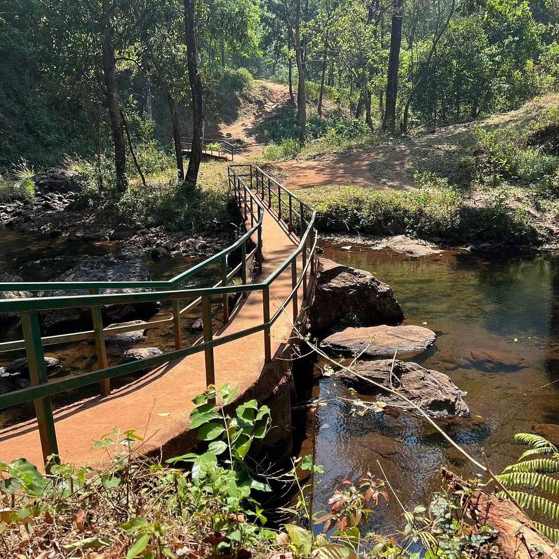Chikmagalur: Where Karnataka’s Hills Brew Stories of Coffee Clouds & Calm