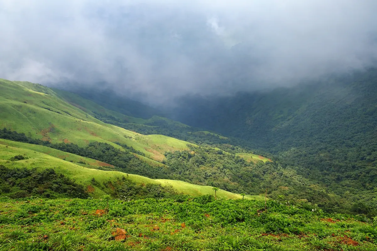 Chikmagalur: Where Karnataka’s Hills Brew Stories of Coffee Clouds & Calm