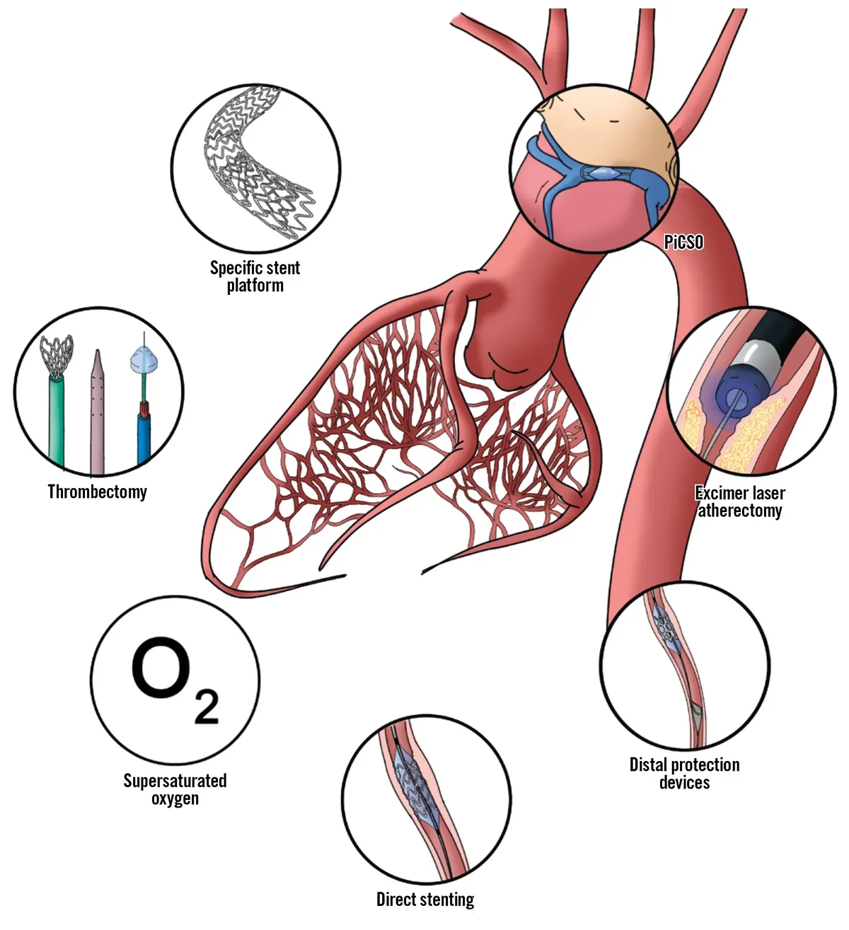 Dr. H. S. Nataraja Setty: Advancing the Frontiers of Interventional Cardiology