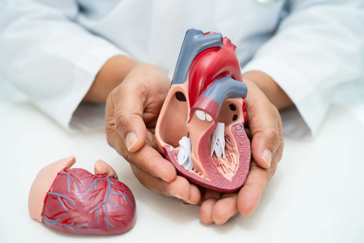 Dr. H. S. Nataraja Setty: Advancing the Frontiers of Interventional Cardiology