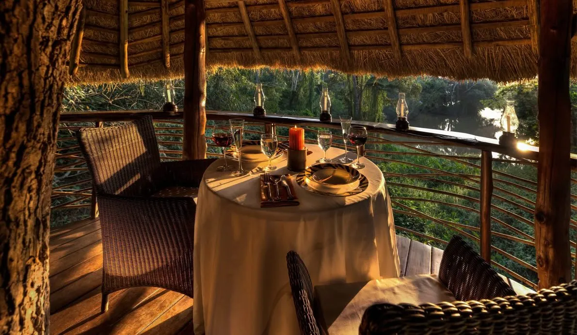 Evolve Back Coorg: Where Luxury Meets the Timeless Spirit of Kodagu