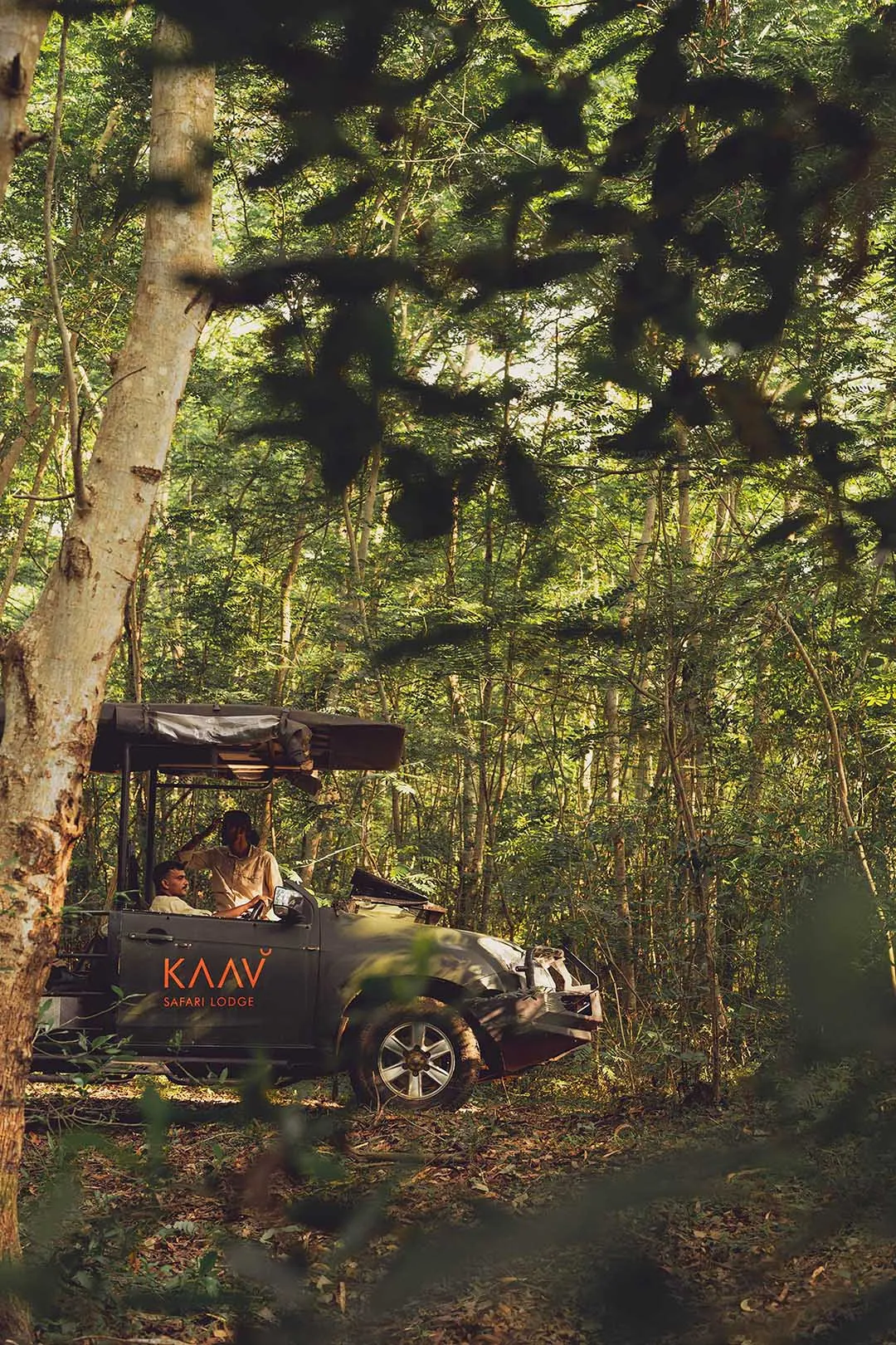 Kaav Safari Lodge: A Luxurious Escape into Kabini’s Untamed Wilderness