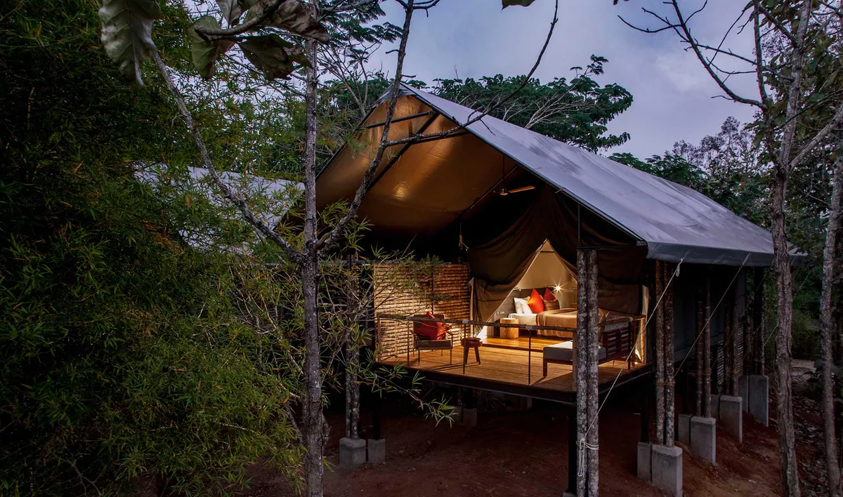 Kaav Safari Lodge: A Luxurious Escape into Kabini’s Untamed Wilderness