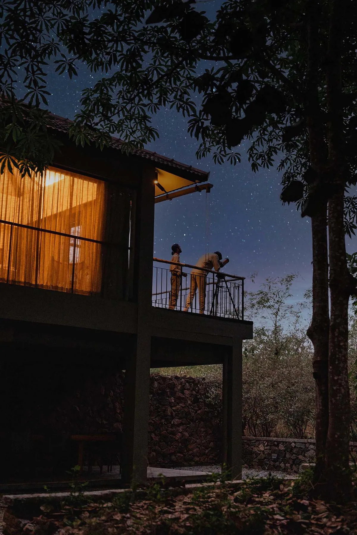 Kaav Safari Lodge: A Luxurious Escape into Kabini’s Untamed Wilderness