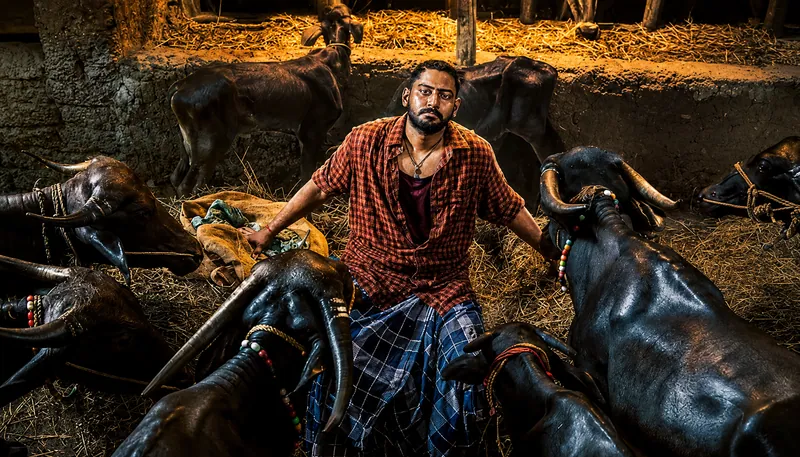 Karavali - Where Kambala, Legacy & the Wild Spirit of the Coast Collide