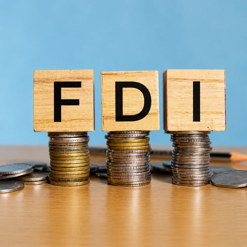 Foreign direct investment (FDI) blocks stacked on coins