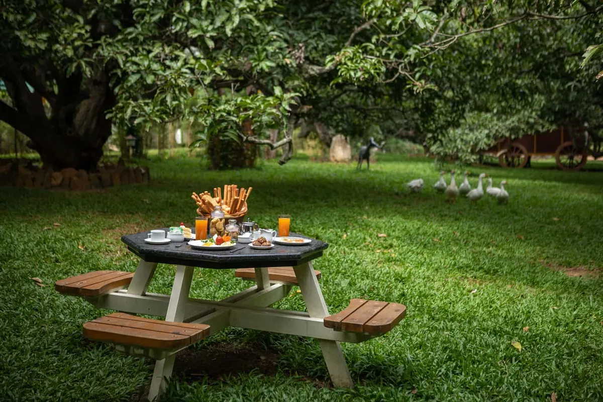 Mango Mist Resort: A Nature Wrapped Getaway of Adventure Wellness & Rustic Luxury
