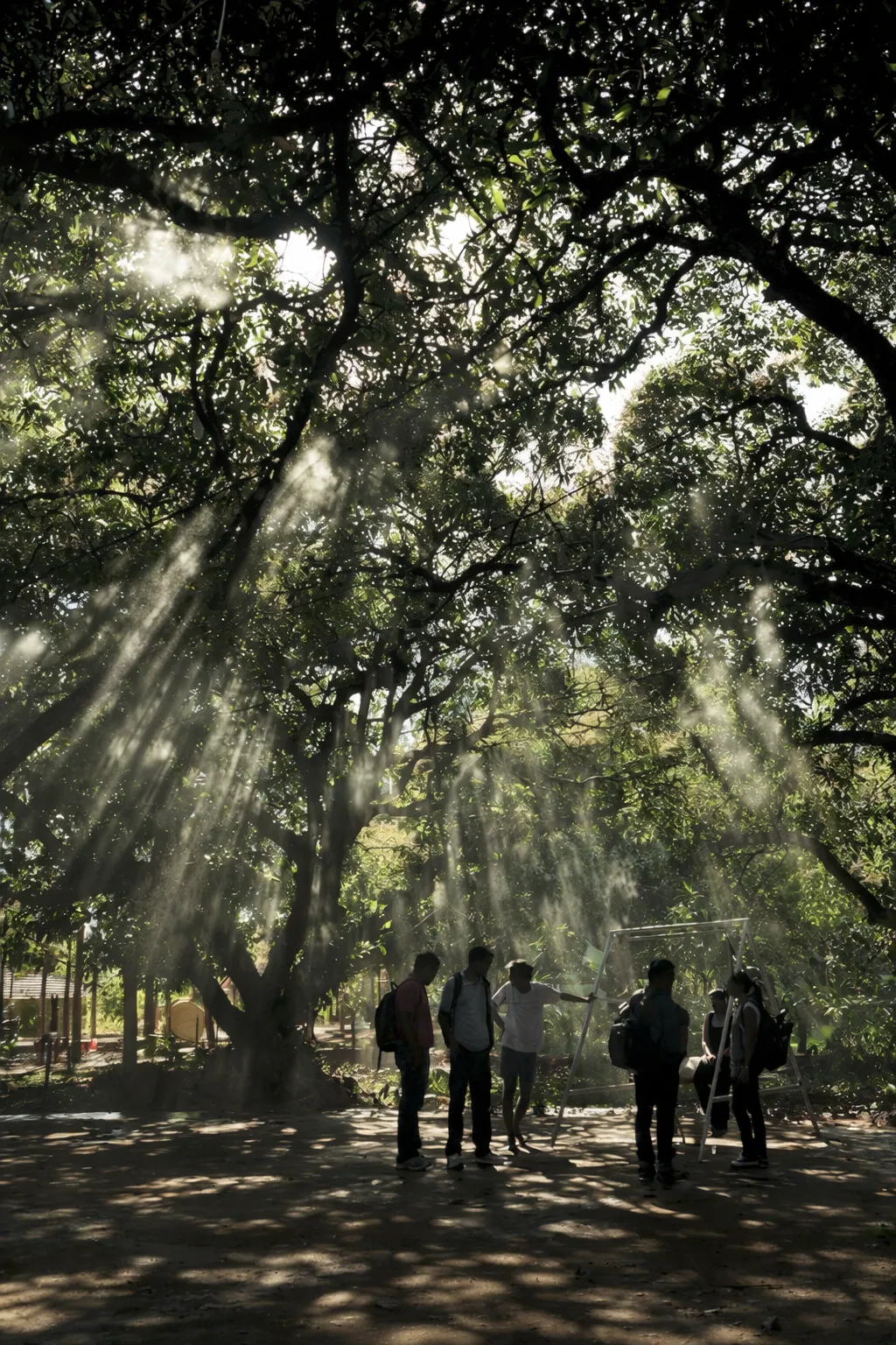 Mango Mist Resort: A Nature Wrapped Getaway of Adventure Wellness & Rustic Luxury