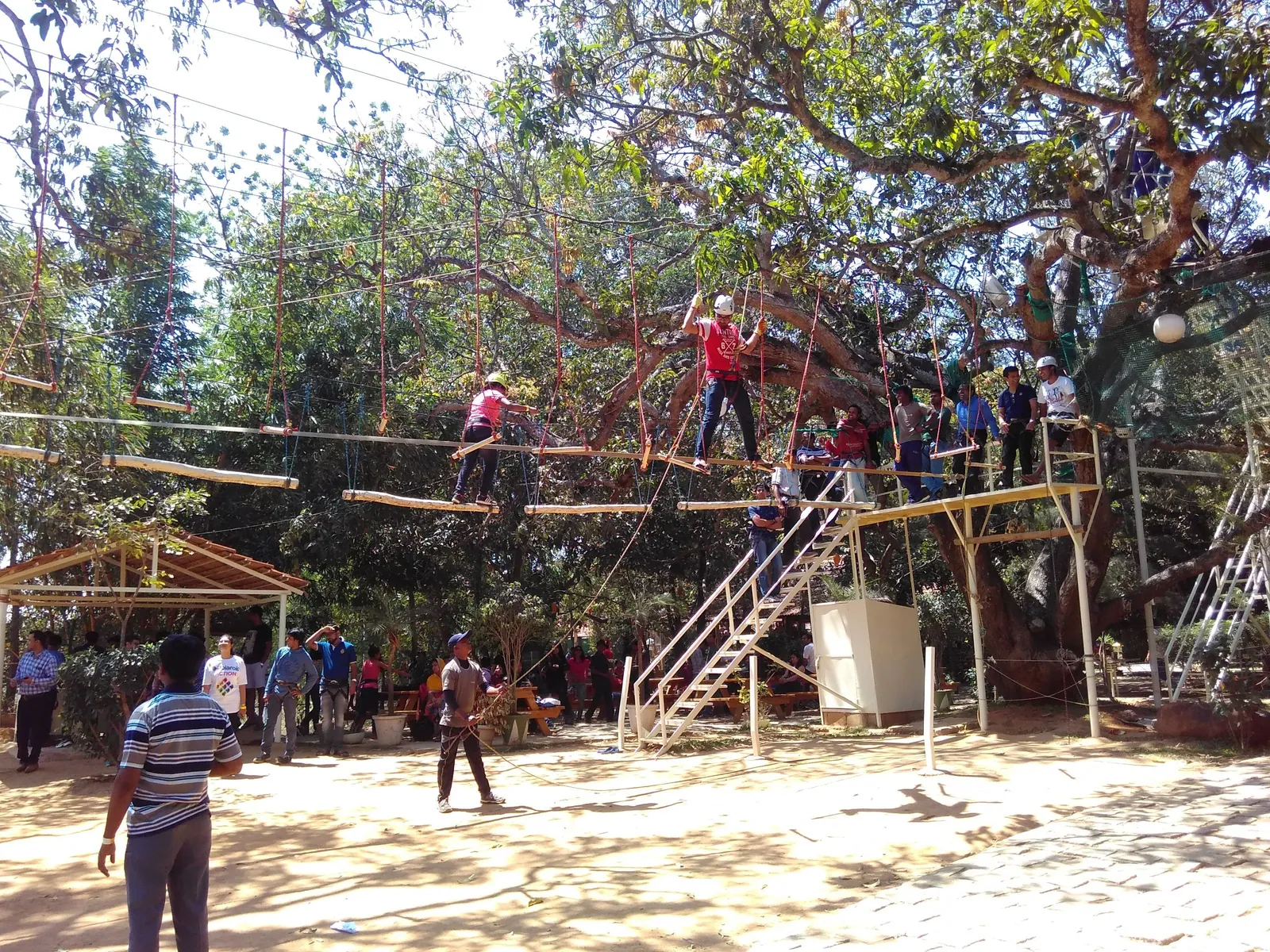 Mango Mist Resort: A Nature Wrapped Getaway of Adventure Wellness & Rustic Luxury