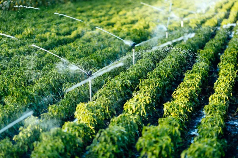 Karnataka’s Smart Farming Revolution: How Technology, Sustainability and Government Support Are Transforming Agriculture