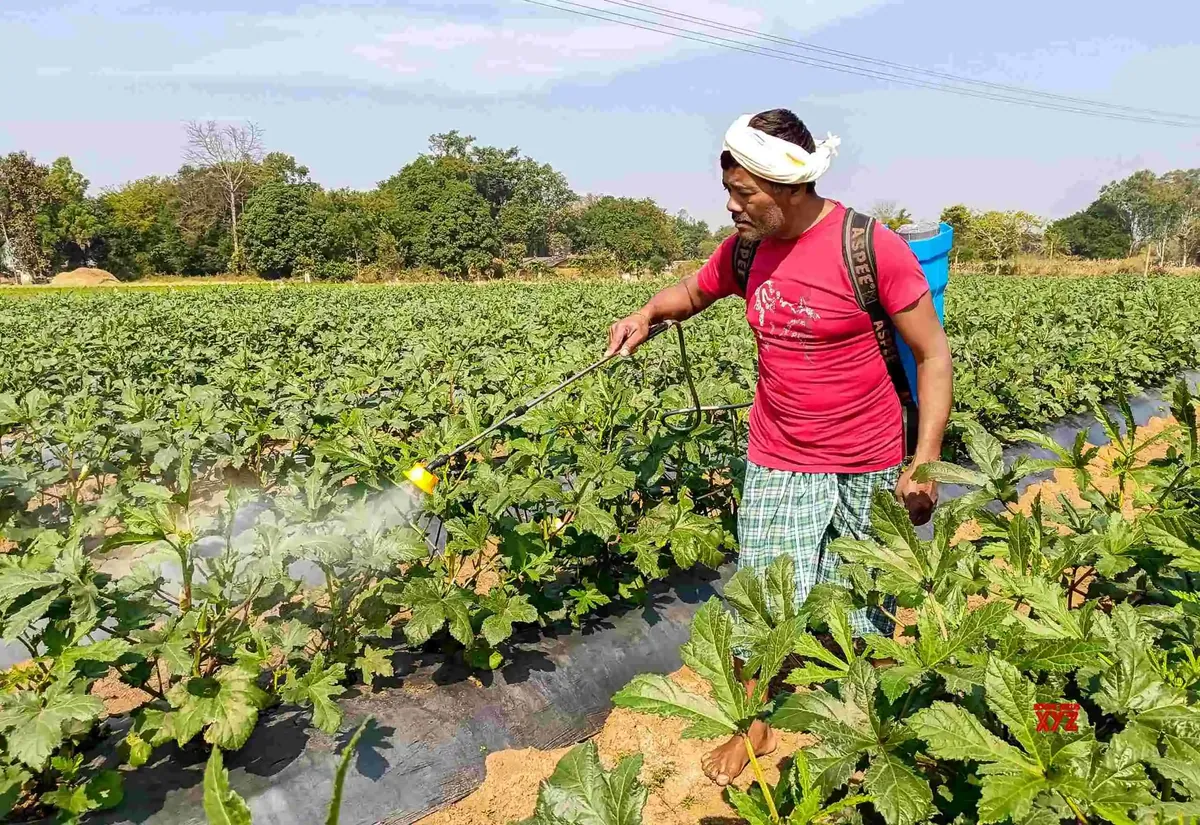 Sowing Confidence: Karnataka Strengthens Fertiliser Security for a Successful Kharif 2026