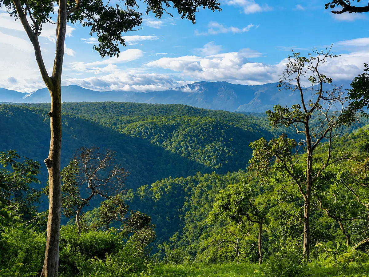 Into the Wild: Bandipur & the Living Heart of the Nilgiris